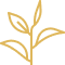 thuong-hieu-icon-1